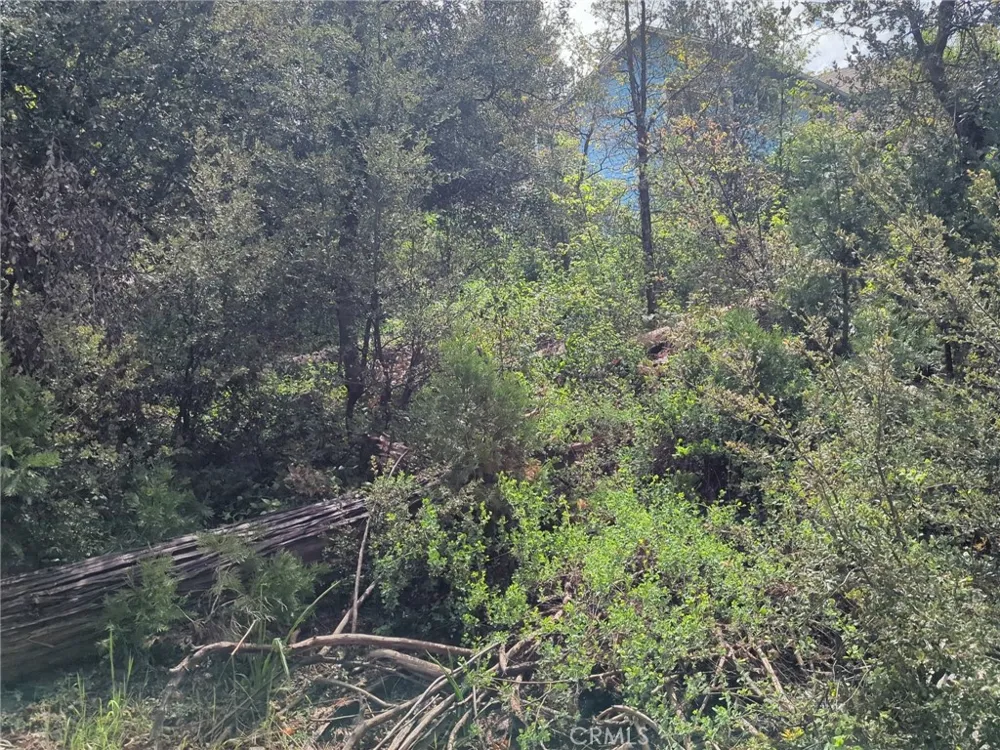 53309 Road 432 Bass Lake, CA 93604