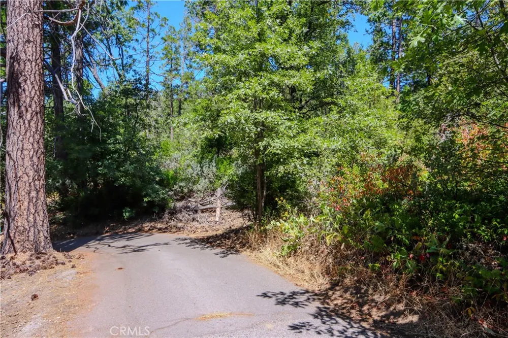 53309 Road 432 Bass Lake, CA 93604
