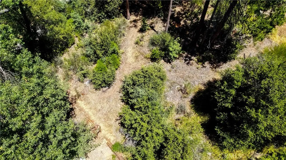 53309 Road 432 Bass Lake, CA 93604