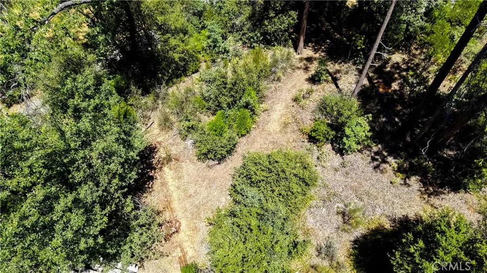 53309 Road 432 Bass Lake, CA 93604
