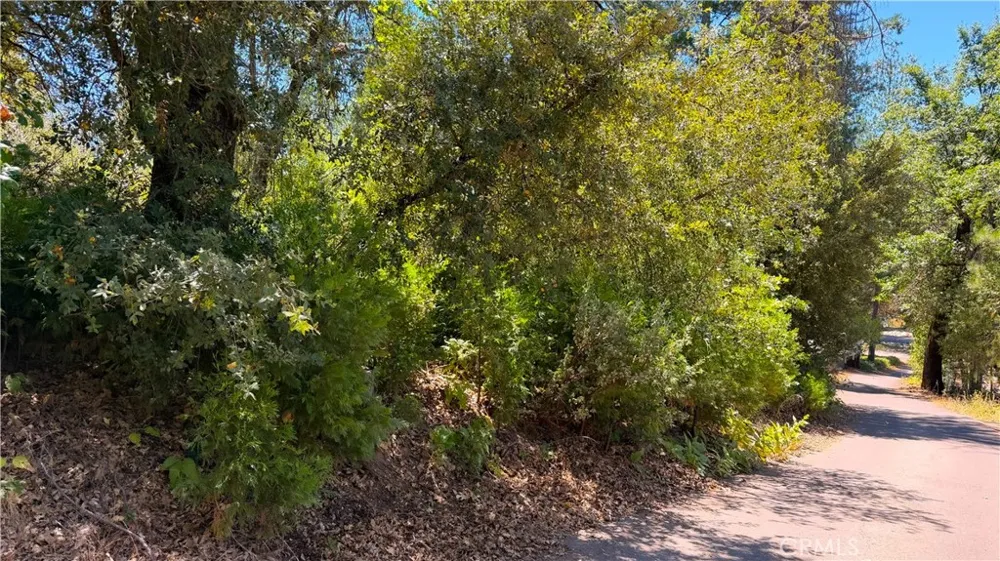 53309 Road 432 Bass Lake, CA 93604