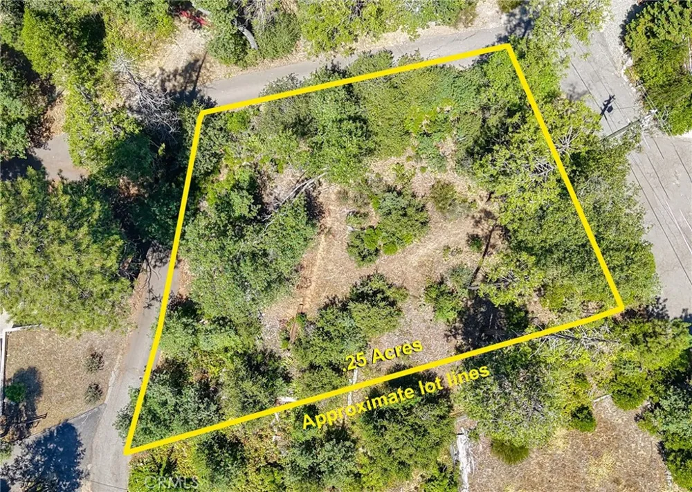 53309 Road 432 Bass Lake, CA 93604