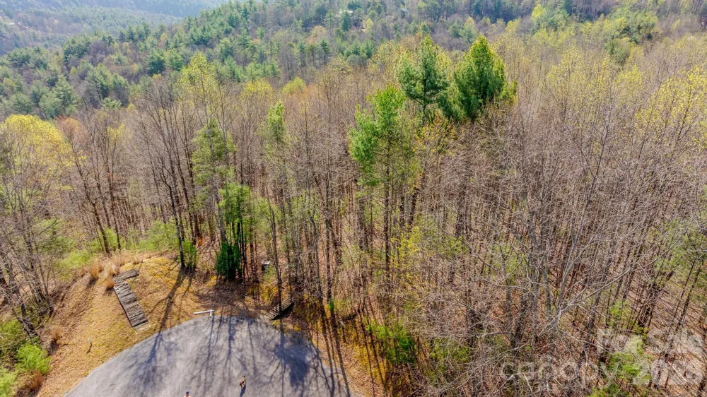 Lot 59 (7C) Cielo Drive #60 (6C) Purlear, NC 28665