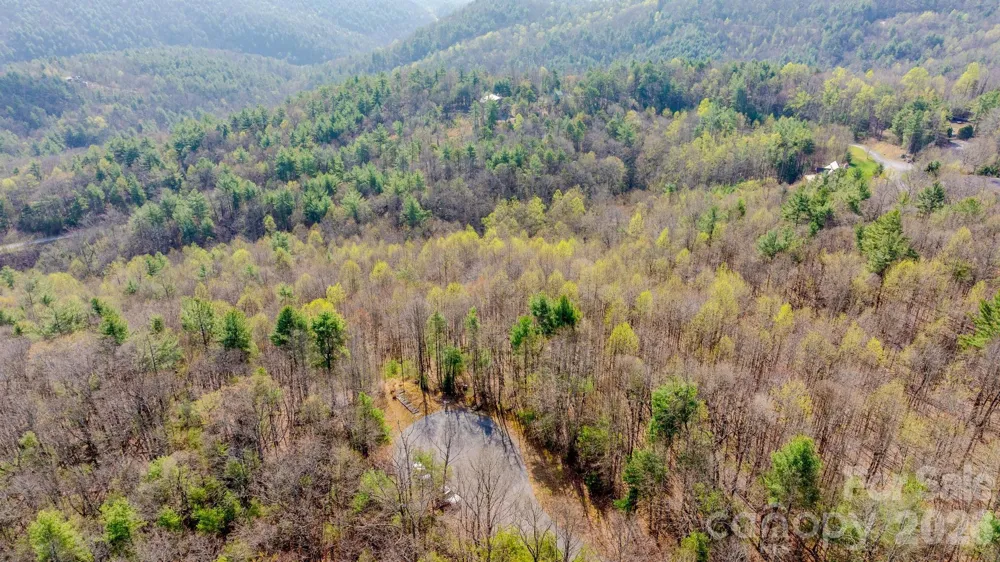 Lot 59 (7C) Cielo Drive #60 (6C) Purlear, NC 28665