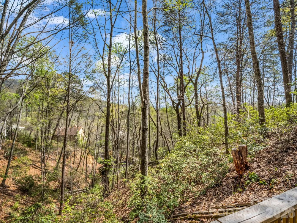 307 Watership Road Lake Lure, NC 28746