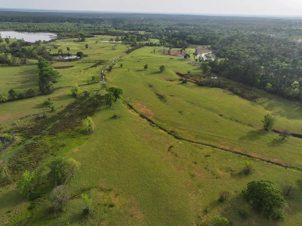 870 Fm 3188 Trinity, TX 75862