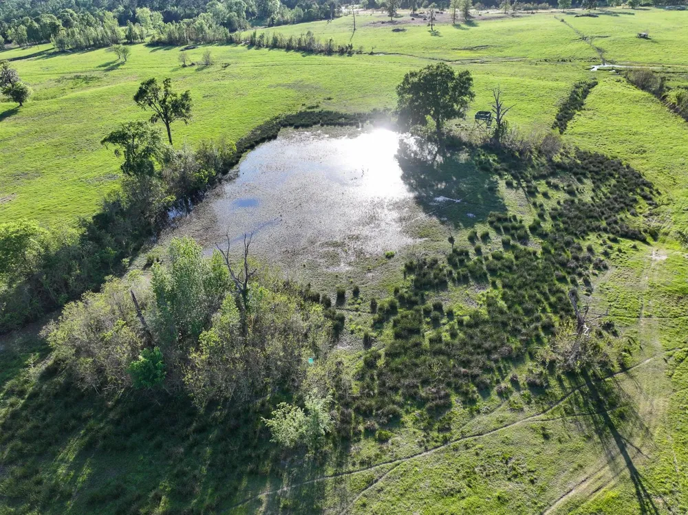 870 Fm 3188 Trinity, TX 75862