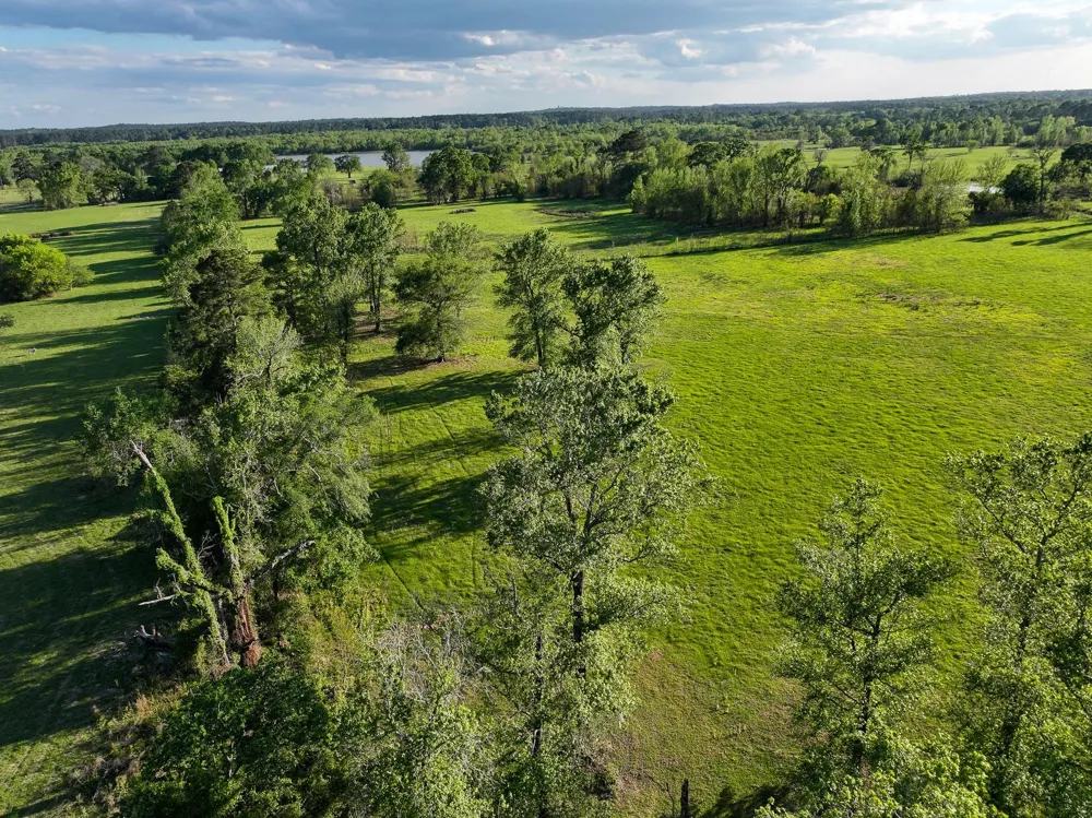 870 Fm 3188 Trinity, TX 75862
