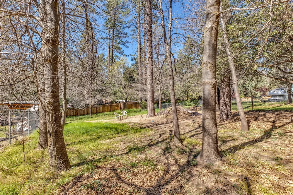 53460 Tollgate Road Idyllwild, CA 92549