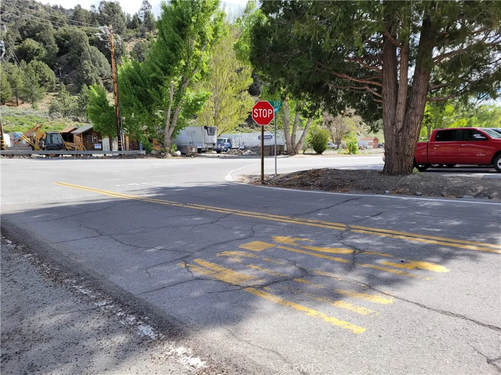 Spruce Wrightwood, CA 92397