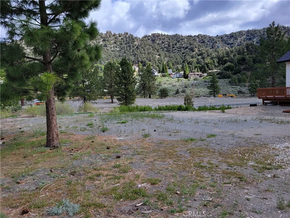 Spruce Wrightwood, CA 92397