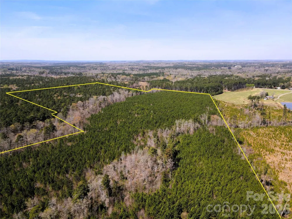 01 Collins Mountain Road Chapel Hill, NC 27516