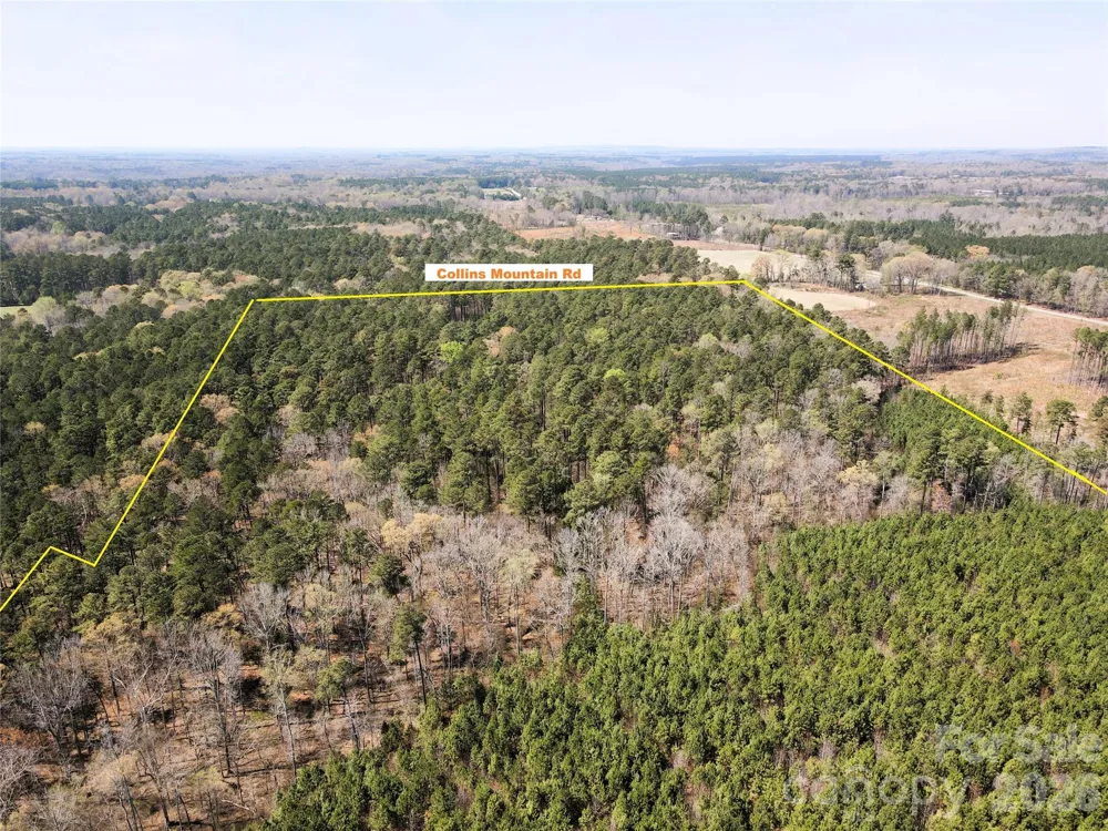 01 Collins Mountain Road Chapel Hill, NC 27516