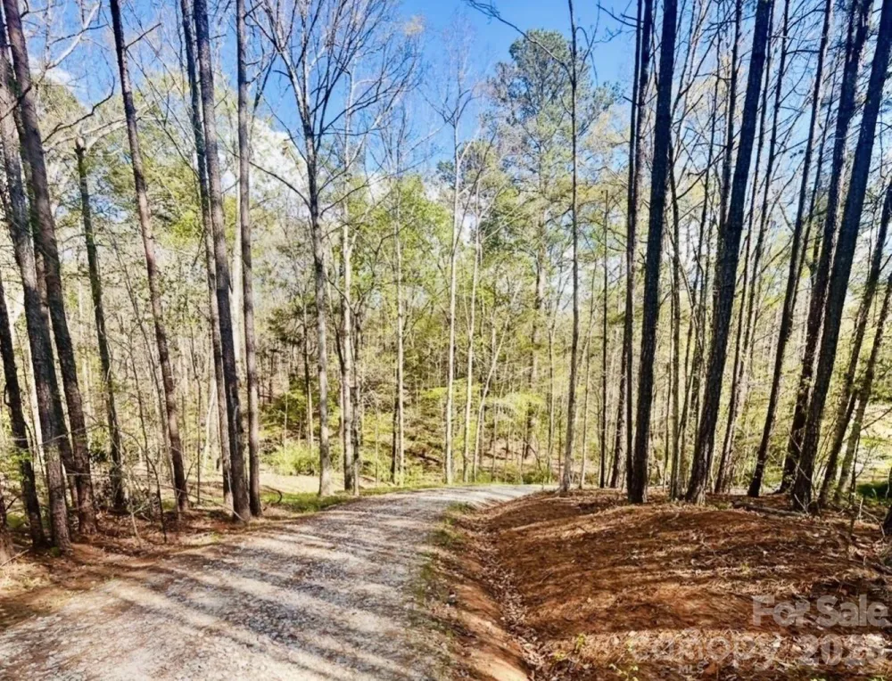 0 Peden Bridge Road Chester, SC 29706