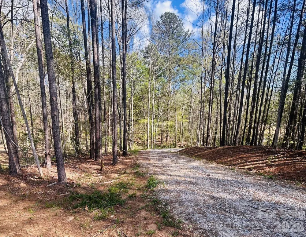0 Peden Bridge Road Chester, SC 29706
