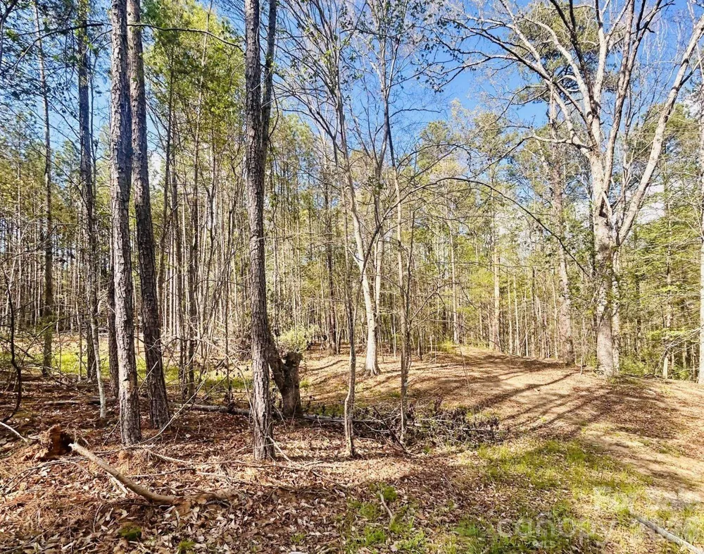 0 Peden Bridge Road Chester, SC 29706