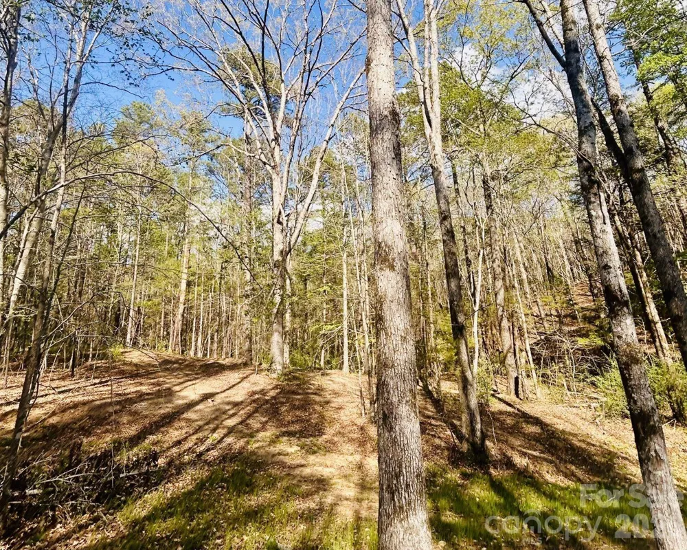 0 Peden Bridge Road Chester, SC 29706