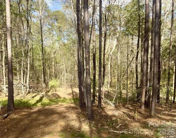 0 Peden Bridge Road Chester, SC 29706