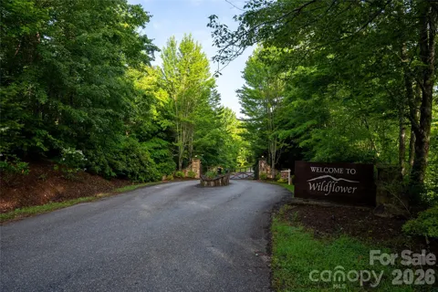 00 Lyle Mountain Trail #53