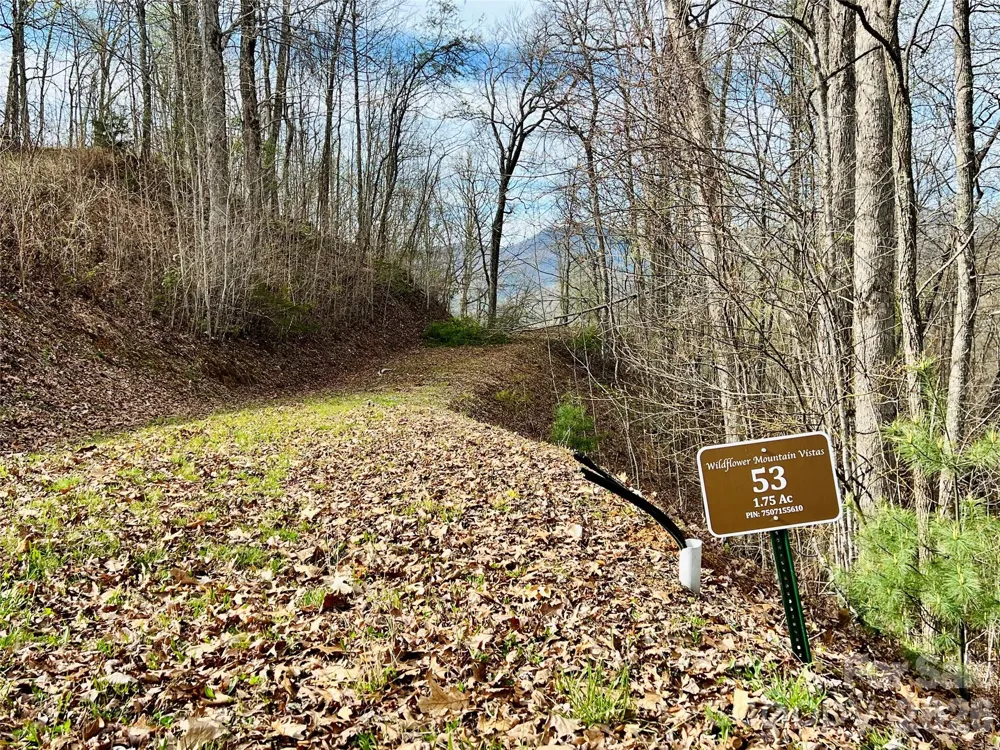 00 Lyle Mountain Trail #53 Franklin, NC 28734