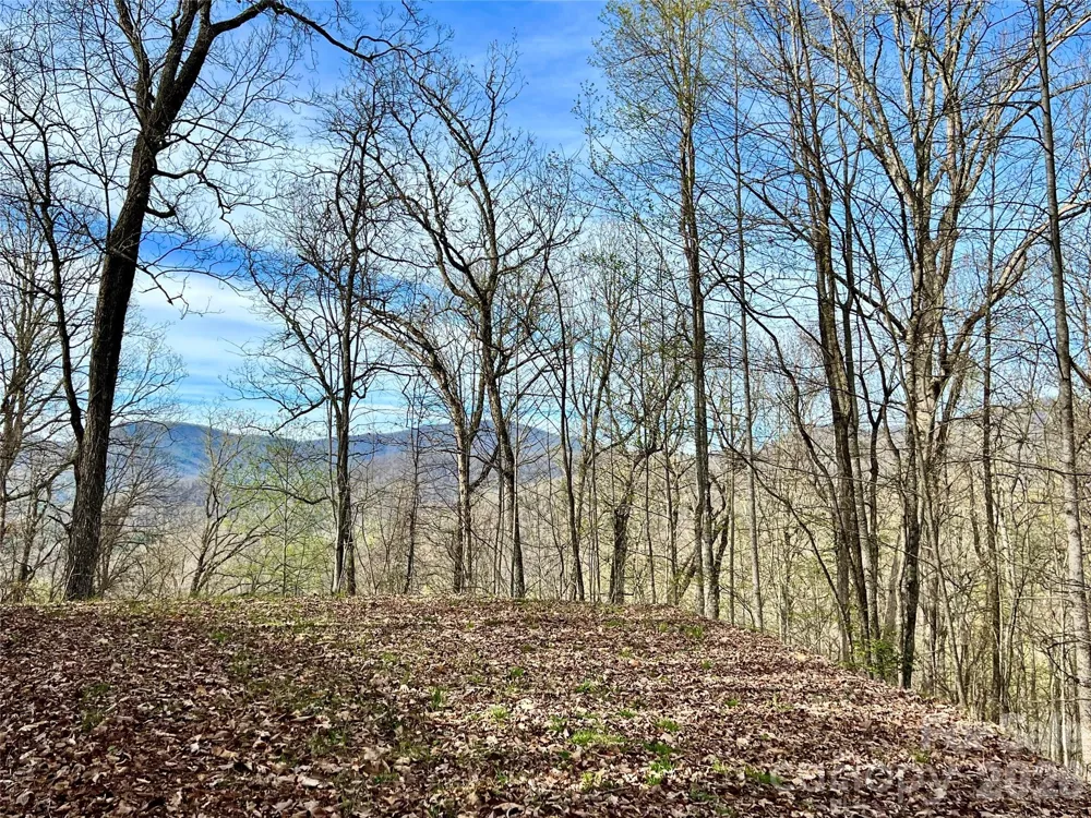 00 Lyle Mountain Trail #53 Franklin, NC 28734