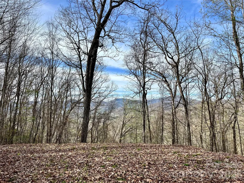 00 Lyle Mountain Trail #53 Franklin, NC 28734