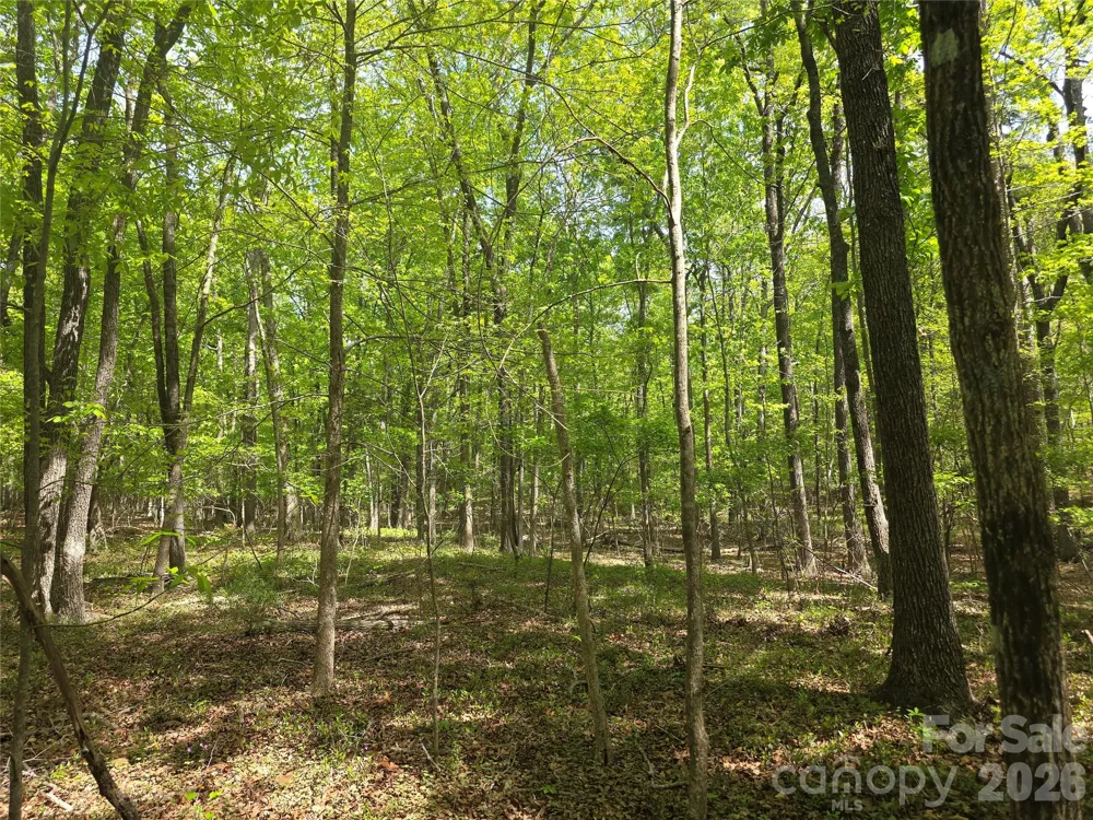 Lot 5 Wolf Pond Road Monroe, NC 28112