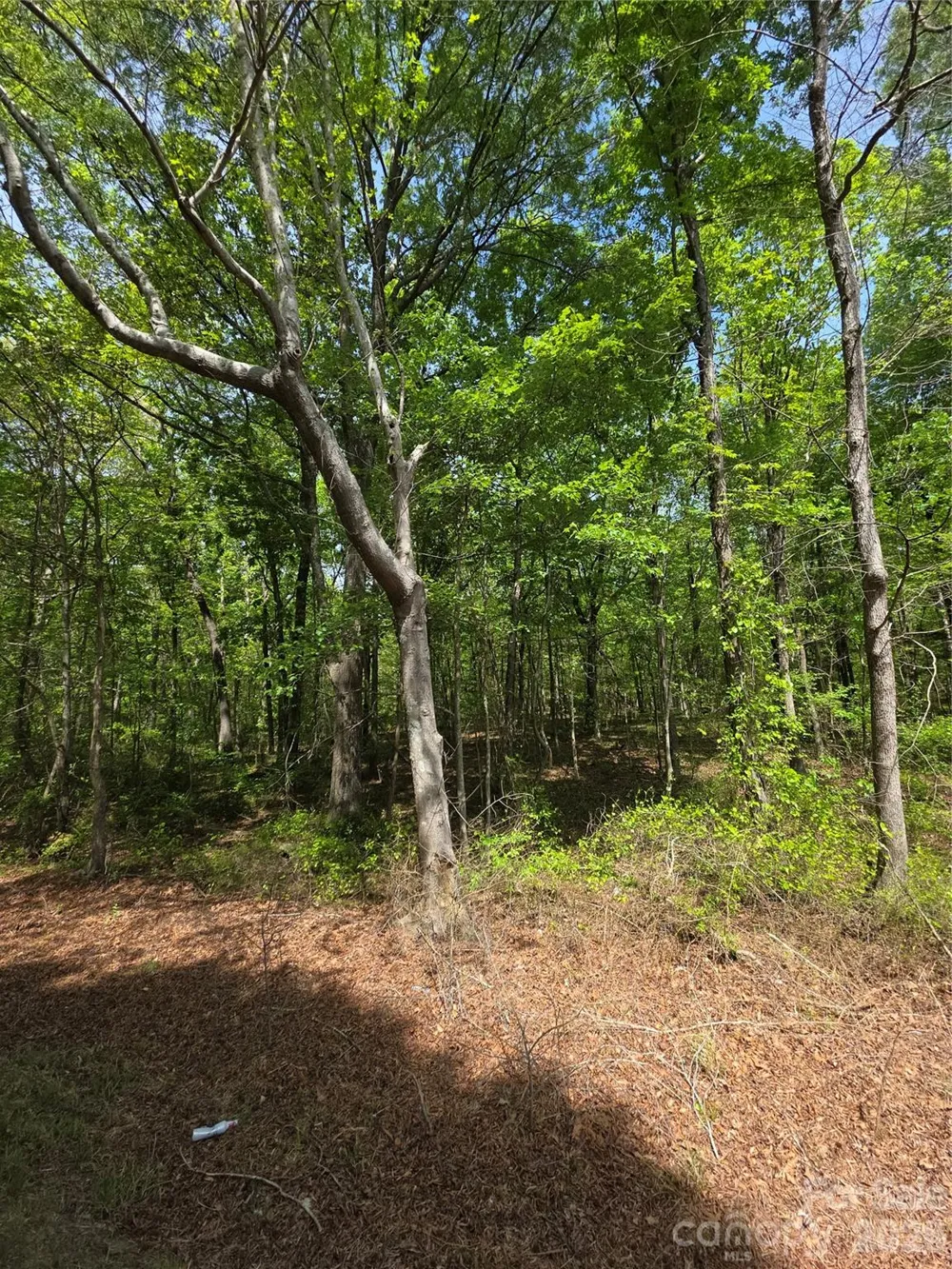 Lot 5 Wolf Pond Road Monroe, NC 28112