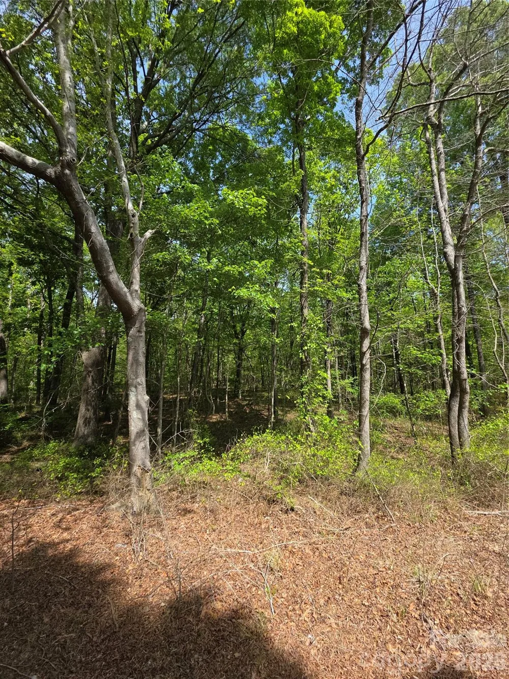 Lot 5 Wolf Pond Road Monroe, NC 28112