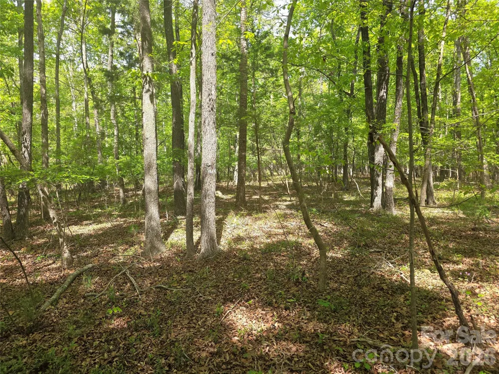 Lot 5 Wolf Pond Road Monroe, NC 28112