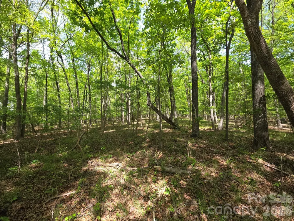 Lot 5 Wolf Pond Road Monroe, NC 28112