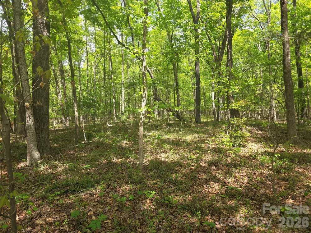 Lot 5 Wolf Pond Road Monroe, NC 28112