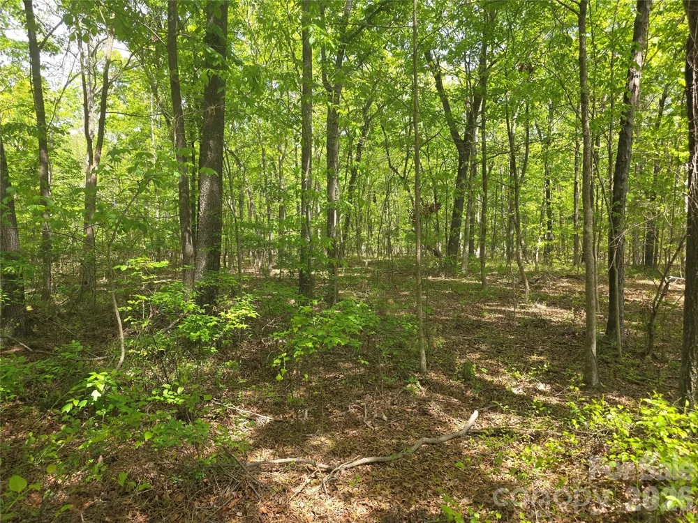 Lot 5 Wolf Pond Road Monroe, NC 28112