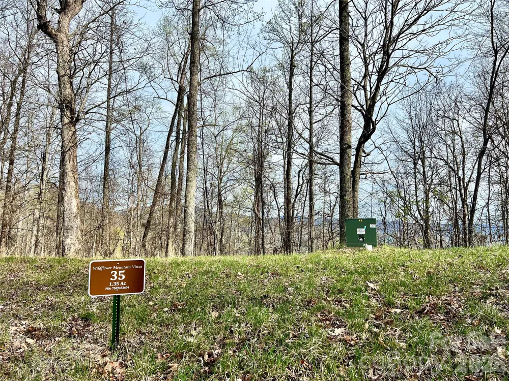 00 Lyle Mountain Trail #35 Franklin, NC 28734
