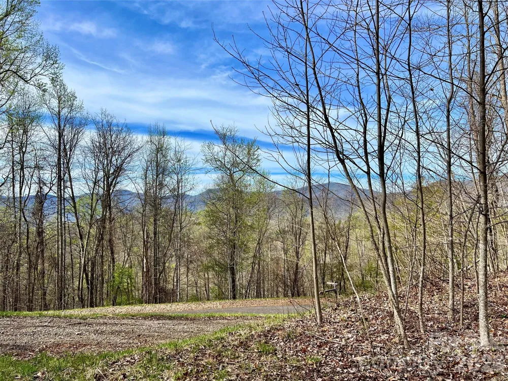 00 Lyle Mountain Trail #35 Franklin, NC 28734