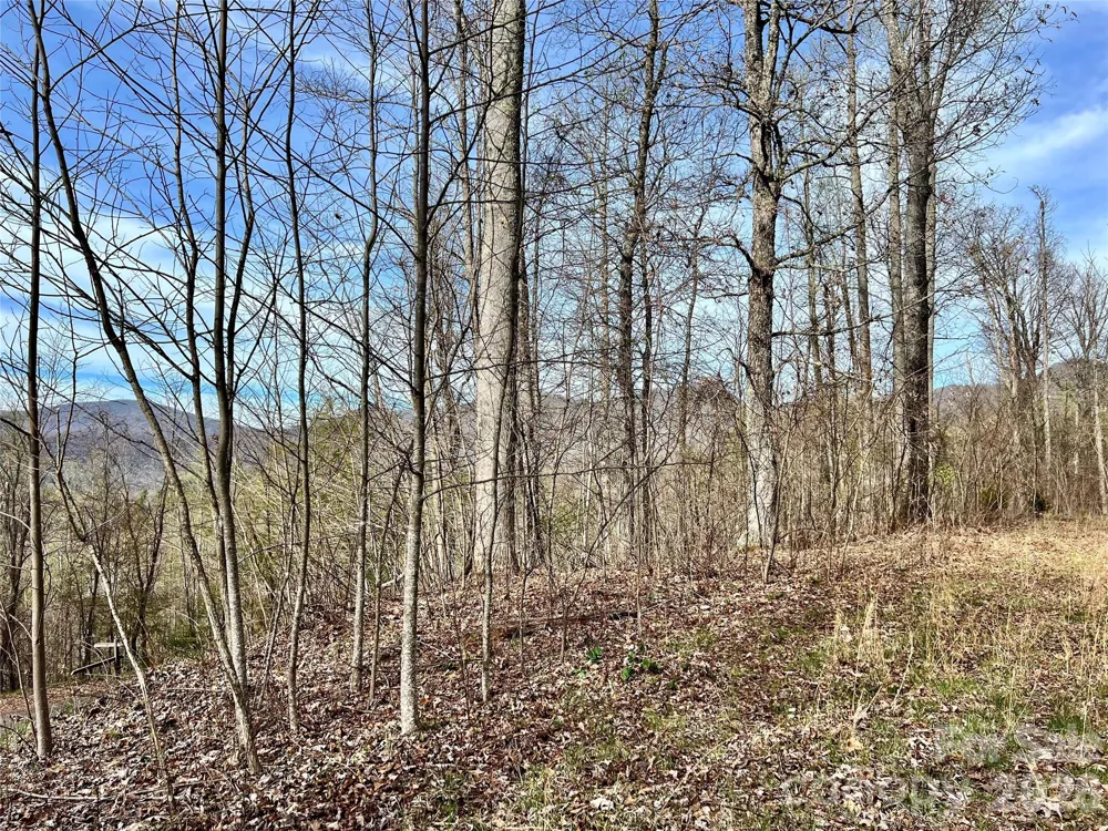 00 Lyle Mountain Trail #35 Franklin, NC 28734