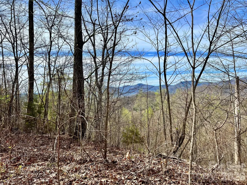 00 Lyle Mountain Trail #35 Franklin, NC 28734