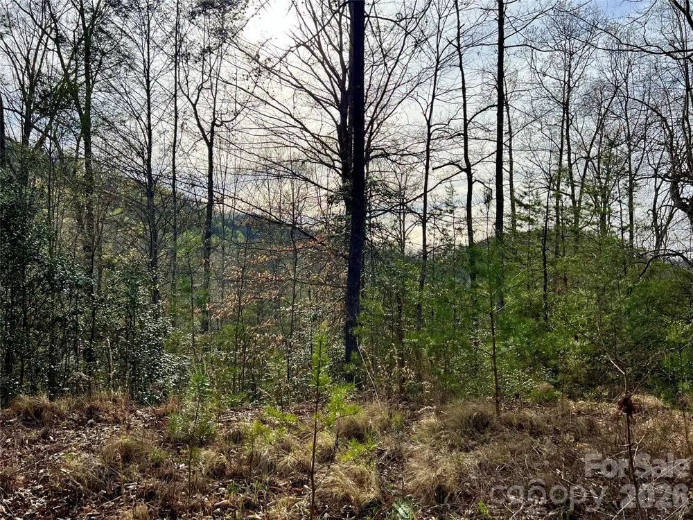 00 Lupine Lane #182 Franklin, NC 28734