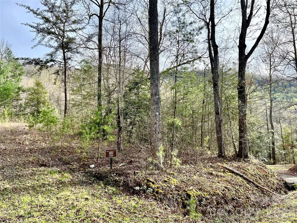 00 Lupine Lane #182 Franklin, NC 28734