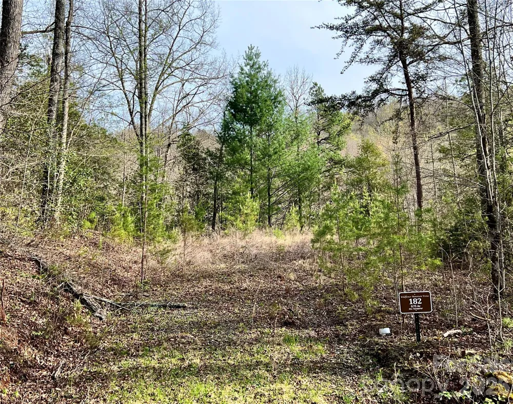 00 Lupine Lane #182 Franklin, NC 28734