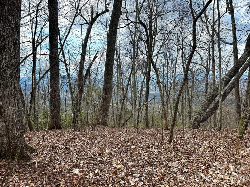 00 Lone Oak Ridge #42 Franklin, NC 28734