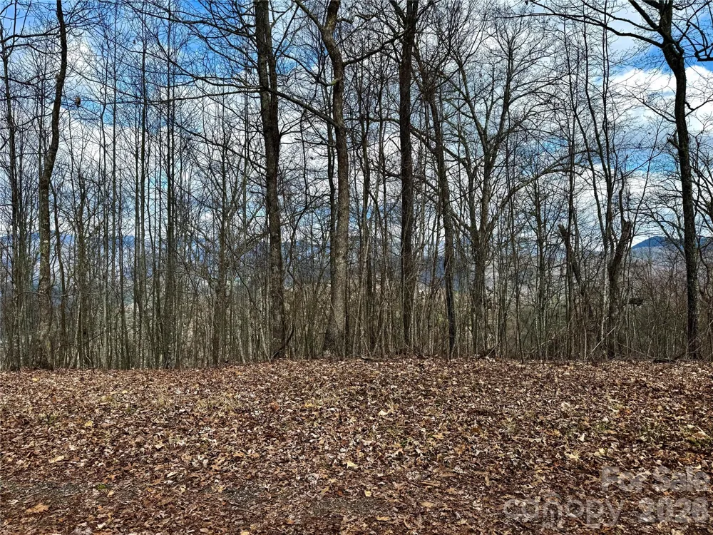 00 Lone Oak Ridge #42 Franklin, NC 28734