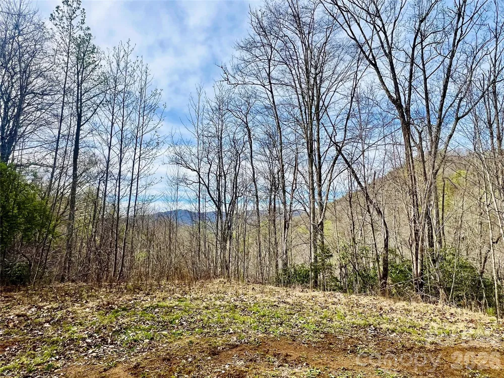 00 Clubhouse Drive #C2 Franklin, NC 28734