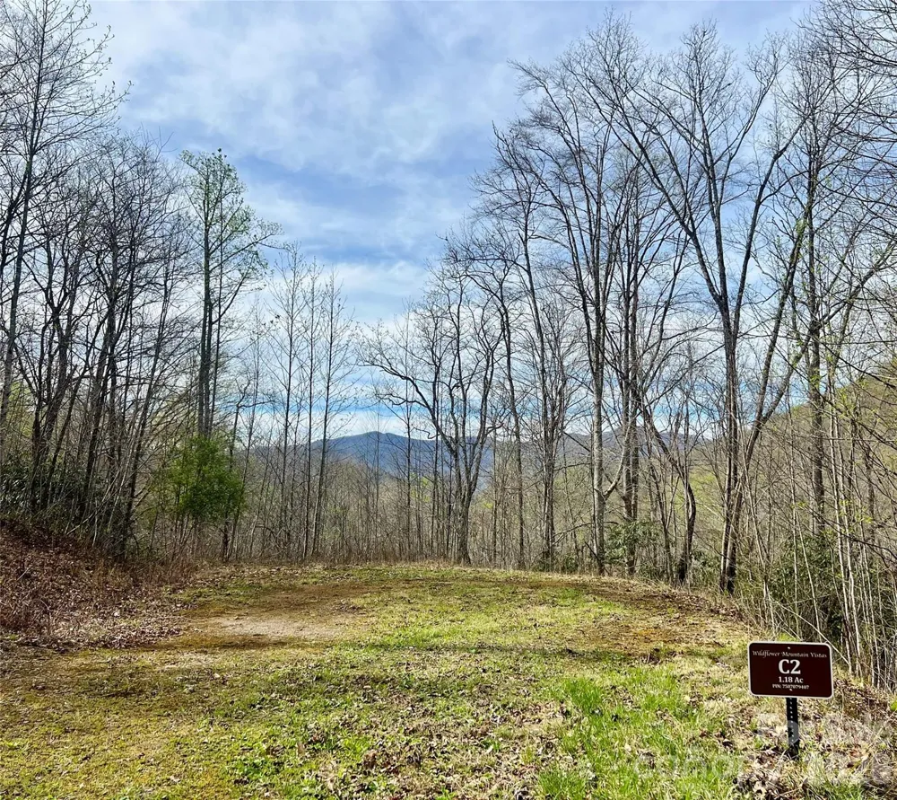 00 Clubhouse Drive #C2 Franklin, NC 28734