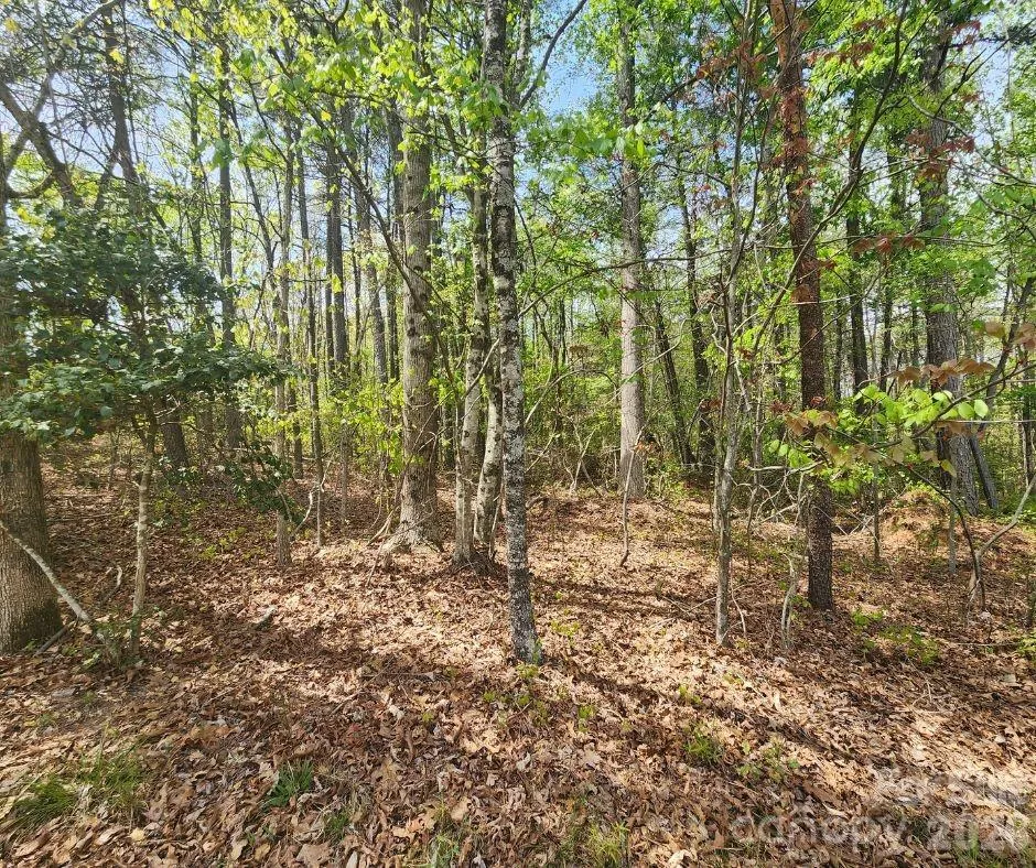 00 Saddlebrook Lane Cherryville, NC 28021
