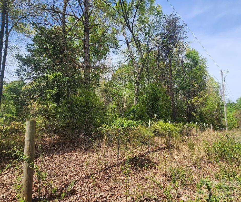 00 Saddlebrook Lane Cherryville, NC 28021