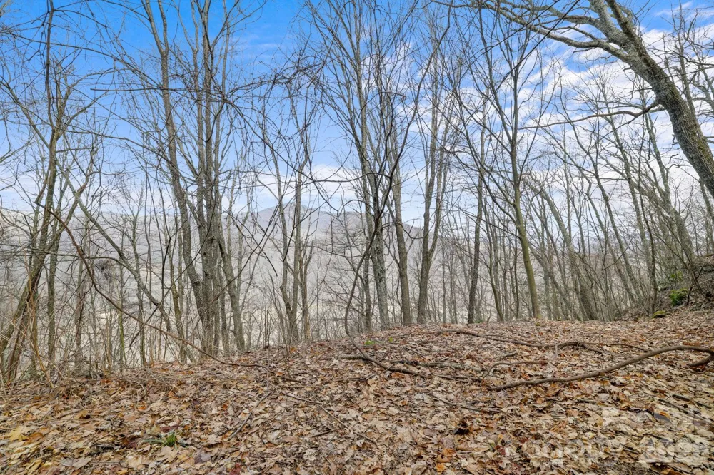 00 Forest Drive #14 Maggie Valley, NC 28751