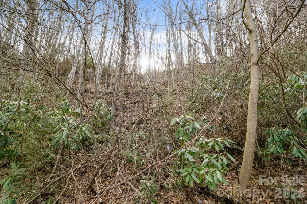 00 Forest Drive #14 Maggie Valley, NC 28751