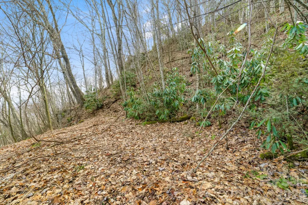 00 Forest Drive #14 Maggie Valley, NC 28751