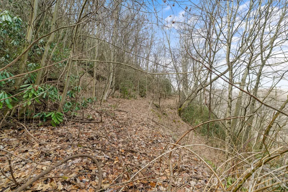00 Forest Drive #14 Maggie Valley, NC 28751